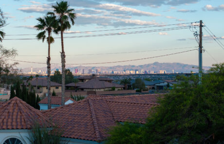 1008 tropical 068